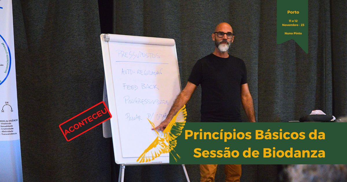 modulo de metodologia na escola de biodanza do Porto